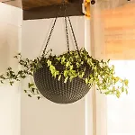 Apartmán Atico Azahar *