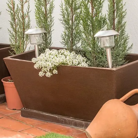 Apartment Atico Azahar *