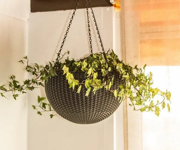 아파트 Atico Azahar *